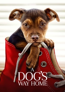 犬と私の10の約束 (2018)