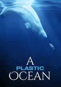 海洋プラスチック問題 (2016)