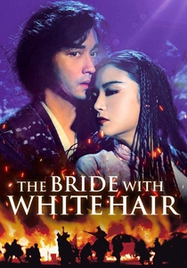 白髪魔女伝 (1993)