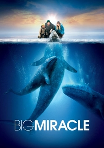 クジラの島 (2012)