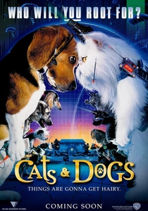 猫の学校 (2001)