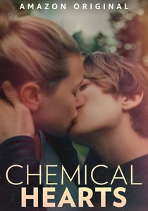 Chemical Hearts (2020)