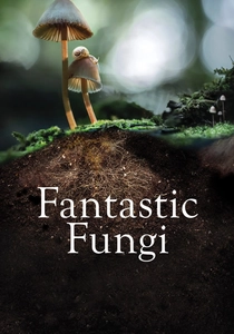 ファンタスティック・ファングス (2019)