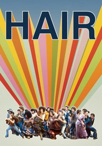 髪の毛 (1979)