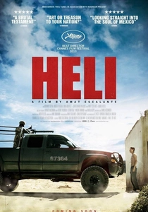 愛の影 (2013)