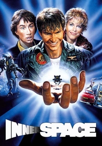 インサイド・マン (1987)