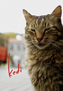 猫の旅 (2016)