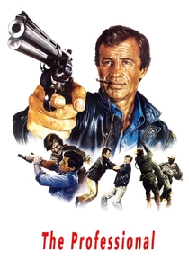 ザ・プロフェッショナル (1981)