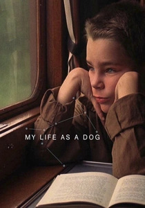 少年と犬 (1985)
