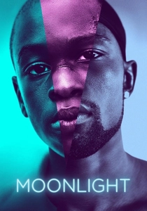 月の光 (2016)