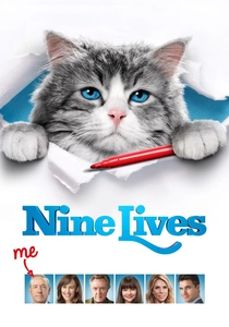 猫の家族 (2016)