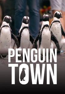 ペンギン・タウン (2021)