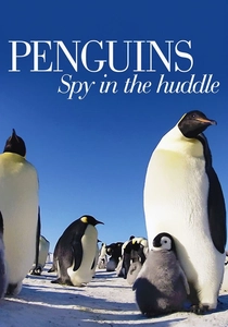 ペンギン・キングダム (2013)