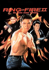 リング・ファイター2 (1993)