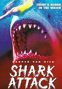 サメの襲撃 (1999)