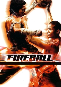火の玉 (2008)