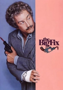 ザ・ビッグ・フィックス (1978)