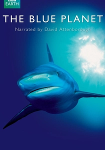 海の生命 (2001)