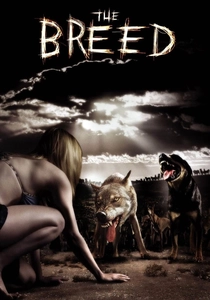 クモの巣 (2006)