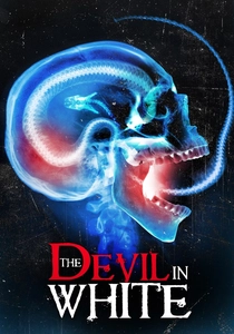 白衣の悪魔 (2014)