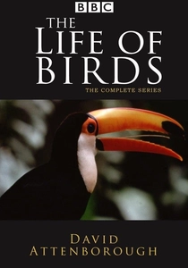 鳥の王国 (1998)