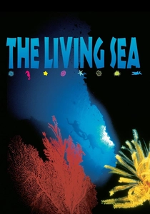 海の神秘 (1995)