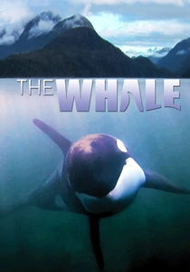 クジラの歌 (2011)