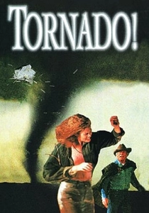 トルネード・タウン (1996)