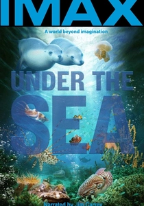 海底探検 (2009)