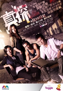 真実の追跡者 (2015)