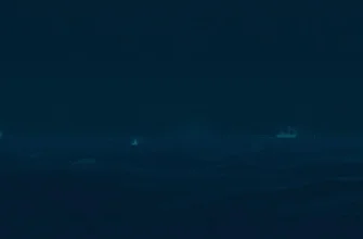 アトランティック・オーシャンの恐怖映画特集