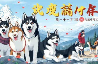 ハスキー映画特集 - 感動と冒険の10作品