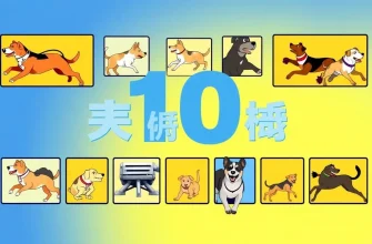 犬を主役にしたアクション映画10選