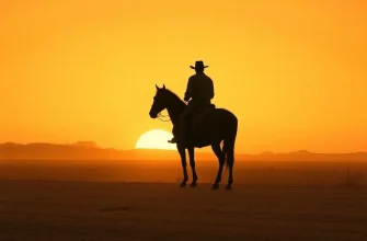 『トム・ホーン』ファン必見！似た作品10選