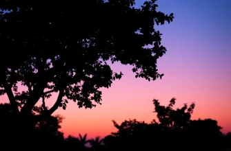 『ザ・コリーニ事件』ファン必見！似た作品10選